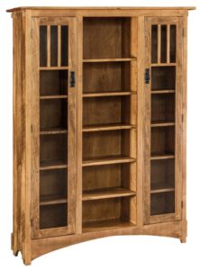 Mission Display Seedy Glass Bookcase