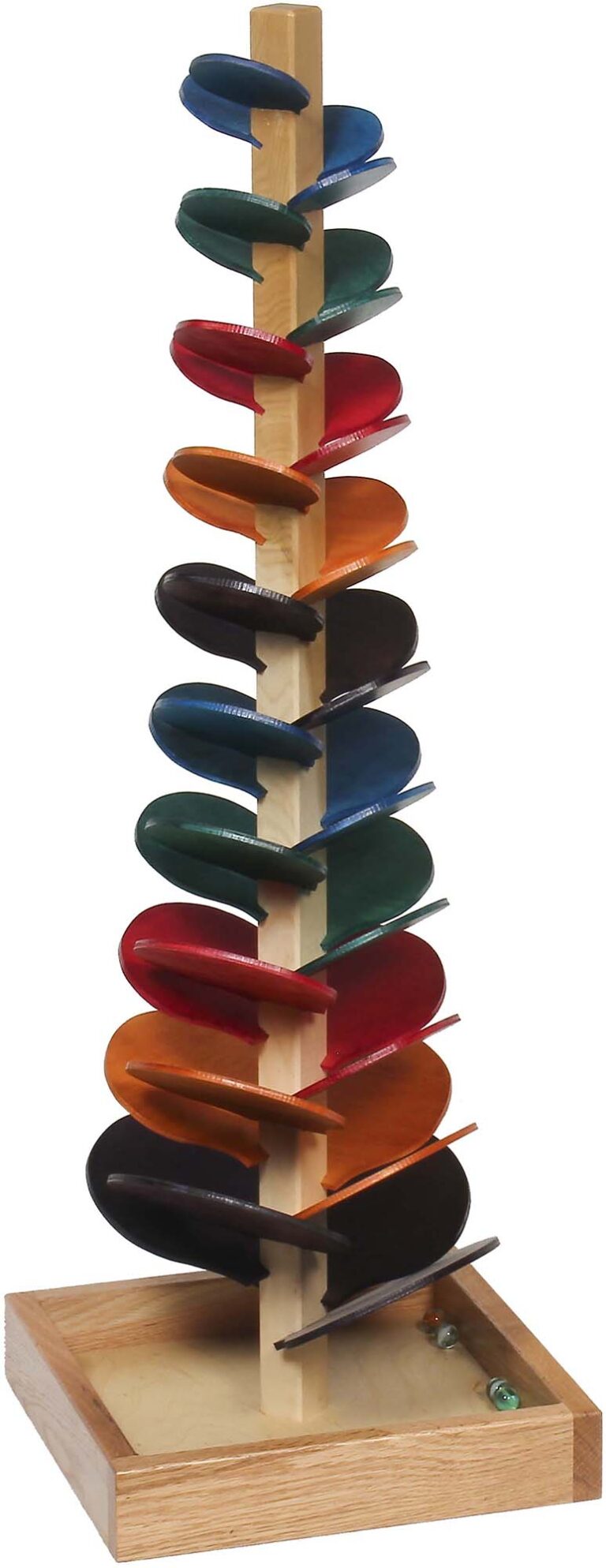 Amish Large Marble Tulip Tree