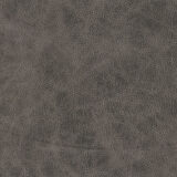 Pierre Dining Chair with Gray