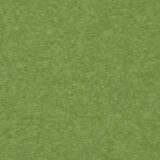 Classic Rectangle Tables with Bright Color - Tropical Lime