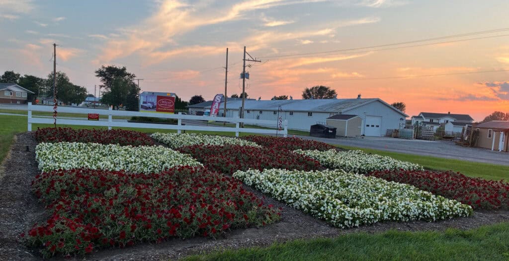 Nine Patch Quilt Garden details july 21 at Weavers